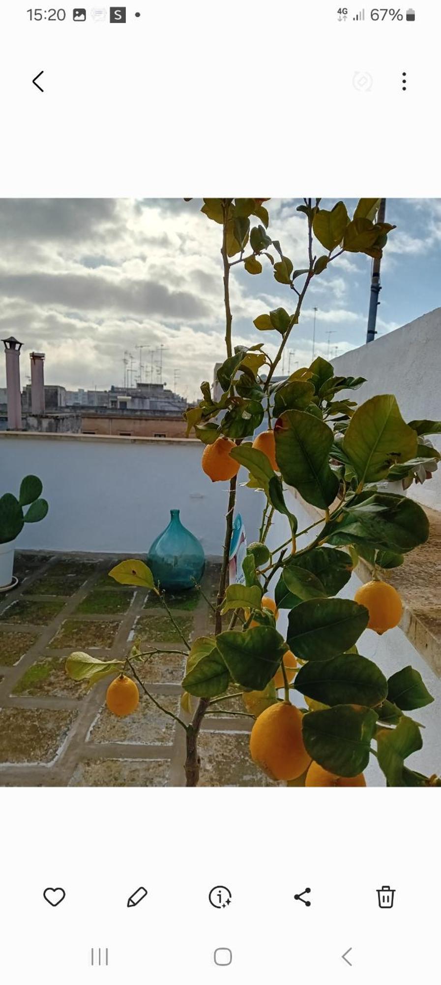 Hotel Aremu Lecce Esterno foto